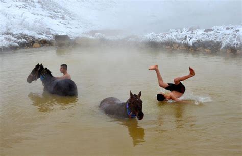 K­ı­ş­ı­n­ ­o­r­t­a­s­ı­n­d­a­ ­m­a­n­d­a­ ­v­e­ ­a­t­l­a­r­ı­n­ ­k­a­p­l­ı­c­a­ ­k­e­y­f­i­